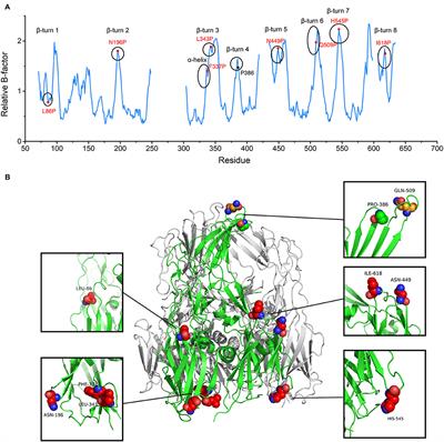 Structural Design and Assessing of Recombinantly Expressed African Swine Fever Virus p72 Trimer in Saccharomyces cerevisiae